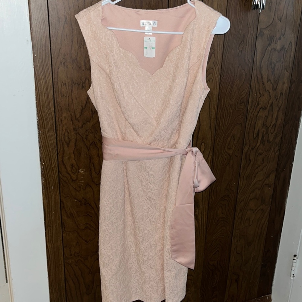 NWT Tevolio dress size 10 🩷✨